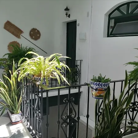 Appartamento Ave Maria 7